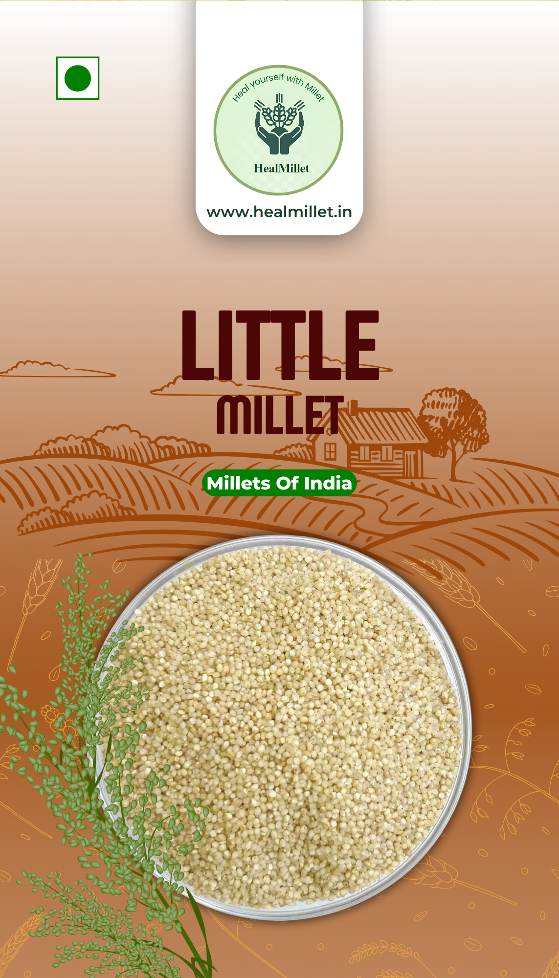 Little Millet