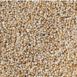 Little Millet